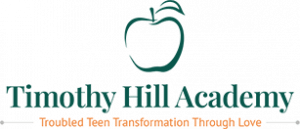 therapeutic schools
